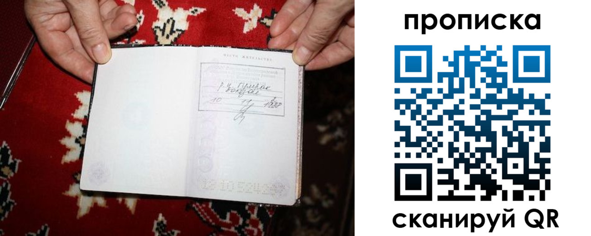 где прописаться в Стародубе